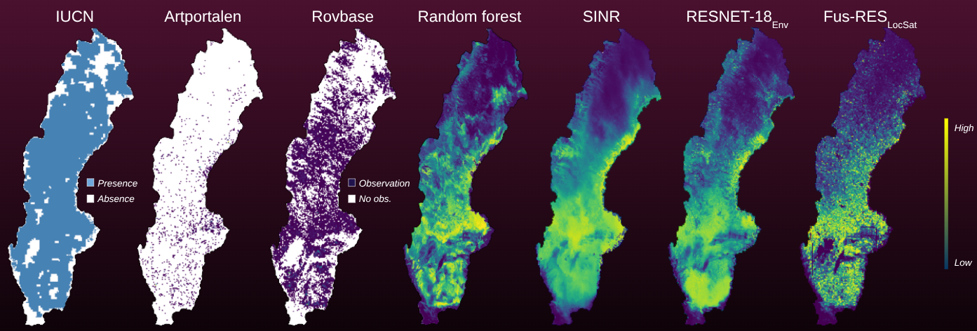 Comparison of datasets and output from different models for lynx. From left to right: IUCN, Artportalen dataset, Rovbase dataset, outputs from Random Forest, SINR, ResNet-18Env, Fus-ResLocSat respectively.